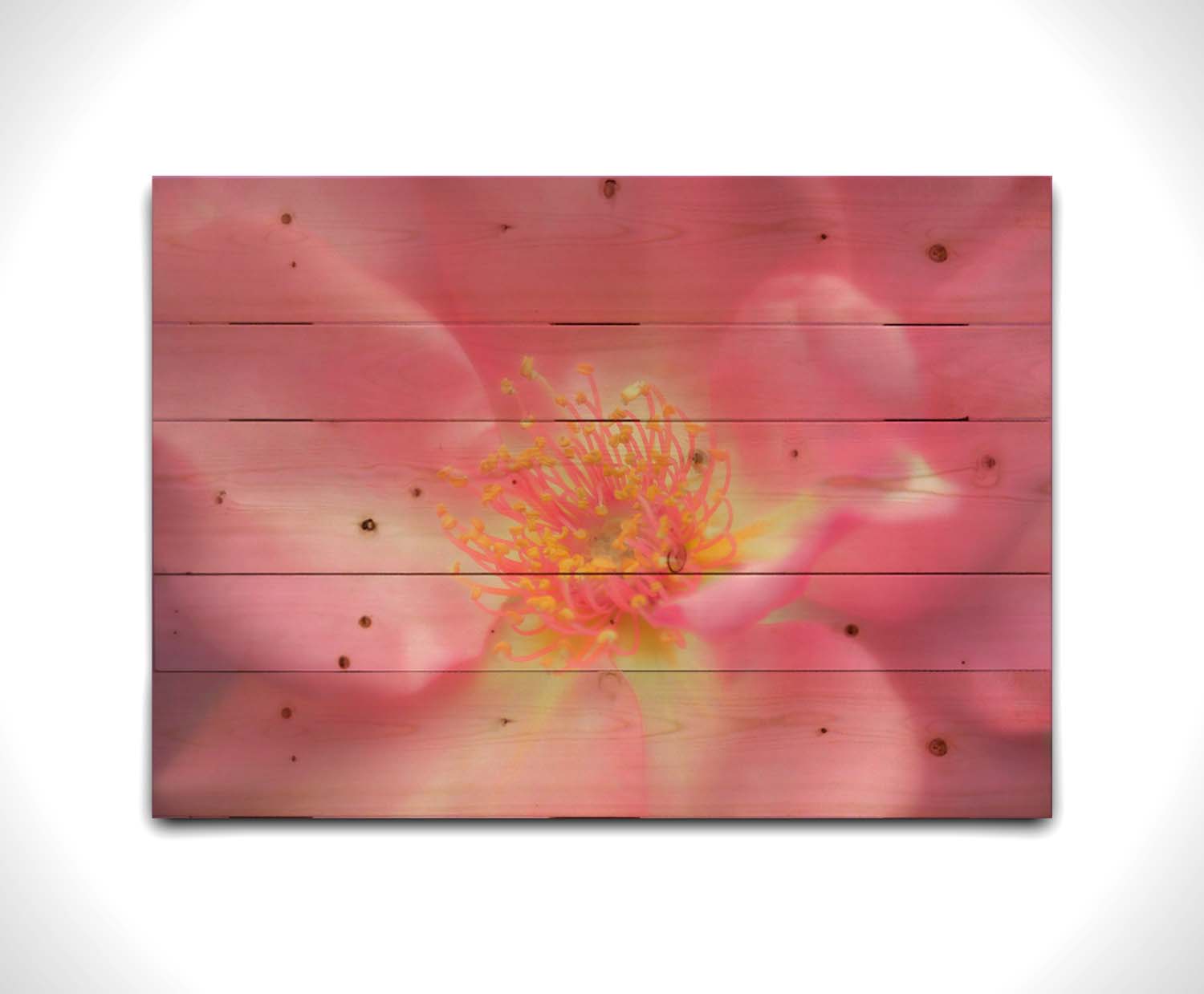 A closeup photo of a pink flower, blurred and softly lit. Printed on a wood pallet.