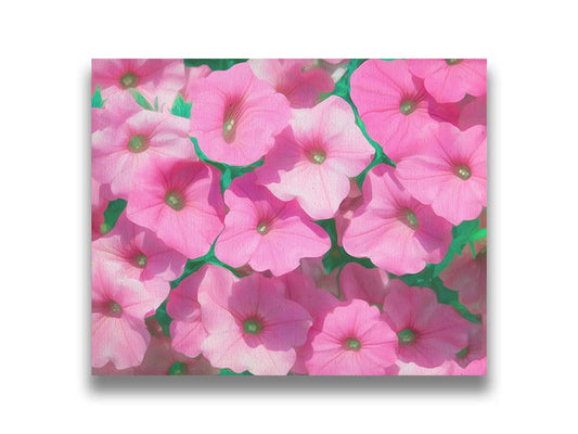 A photo of a group of pink flowers, edited to have a painterly, saturated appearance. Printed on canvas.