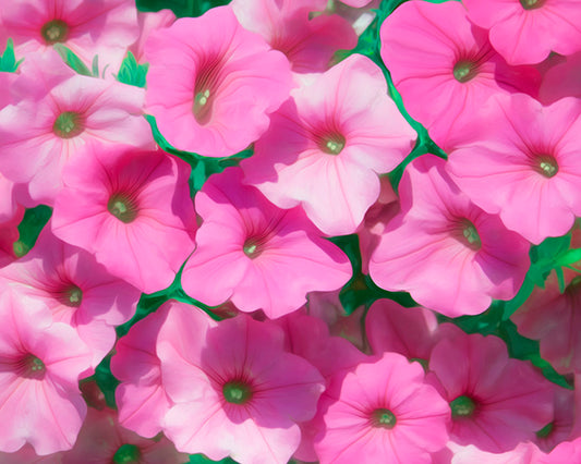 A photo of a group of pink flowers, edited to have a painterly, saturated appearance. 