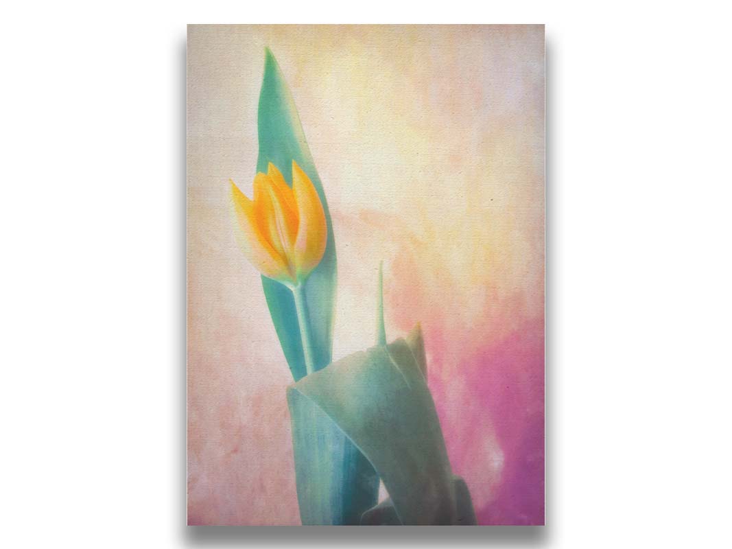 A photo of a single yellow tulip, with a painterly textured background in purple and yellow. Printed on canvas.