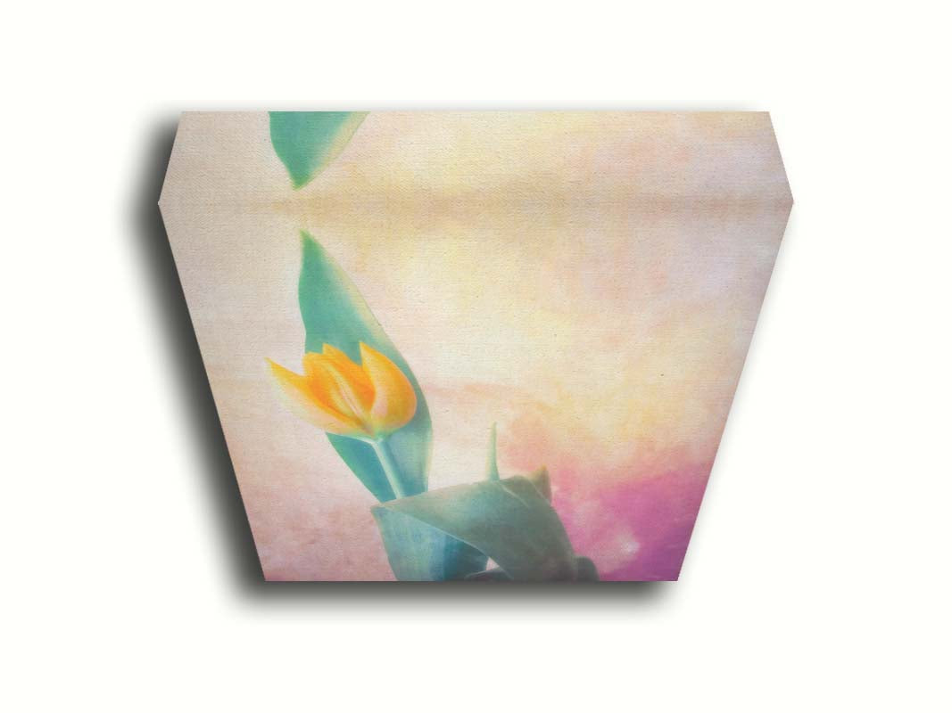 A photo of a single yellow tulip, with a painterly textured background in purple and yellow. Printed on canvas.