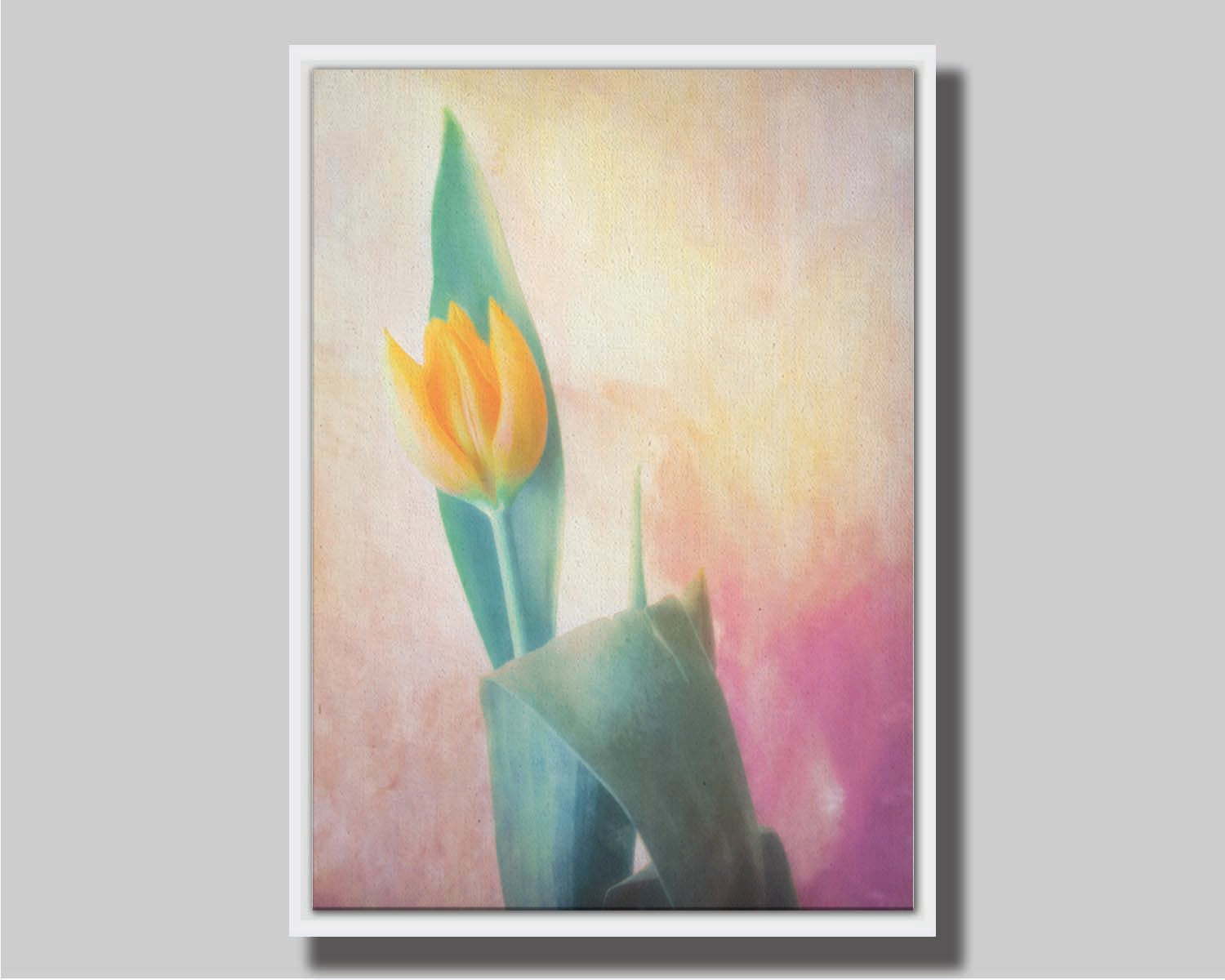 A photo of a single yellow tulip, with a painterly textured background in purple and yellow. Printed on canvas in a float frame.