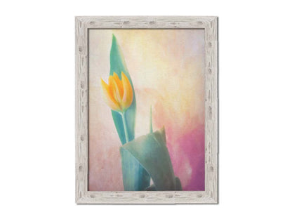 A photo of a single yellow tulip, with a painterly textured background in purple and yellow. Printed on canvas and framed.