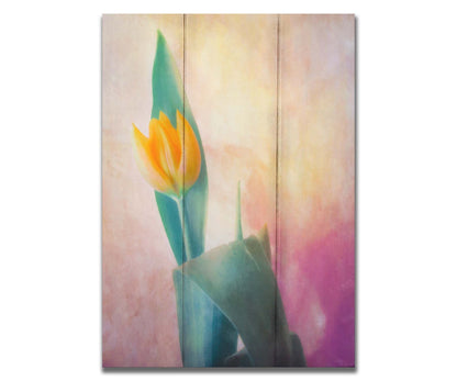 A photo of a single yellow tulip, with a painterly textured background in purple and yellow. Printed on a box board.