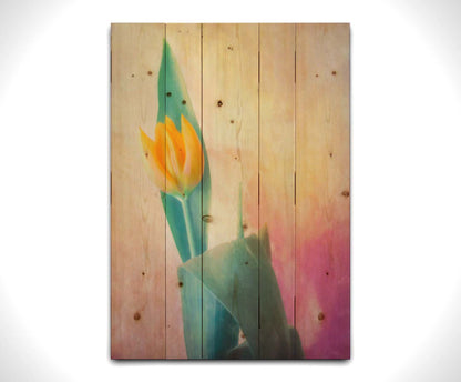 A photo of a single yellow tulip, with a painterly textured background in purple and yellow. Printed on a wood pallet.