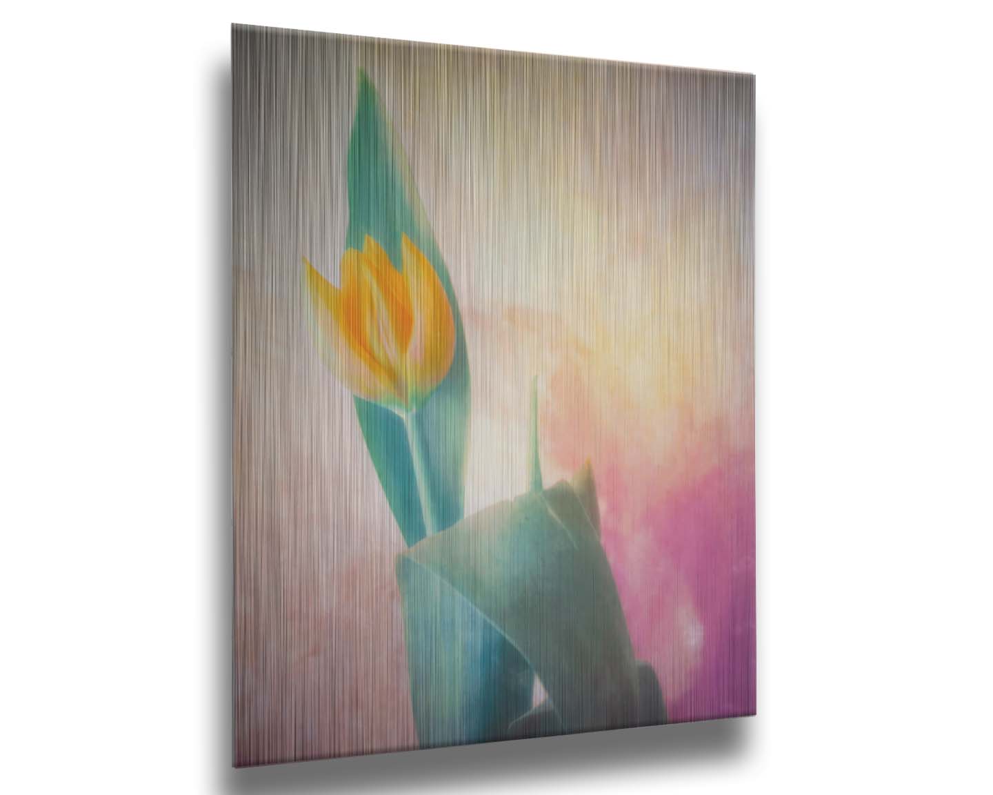 A photo of a single yellow tulip, with a painterly textured background in purple and yellow. Printed on metal.