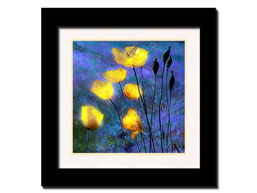 A photo of bright yellow poppies glowing against a blue and purple sky, edited and textured reminiscent of watercolor painting. Printed on paper, matted, and framed.