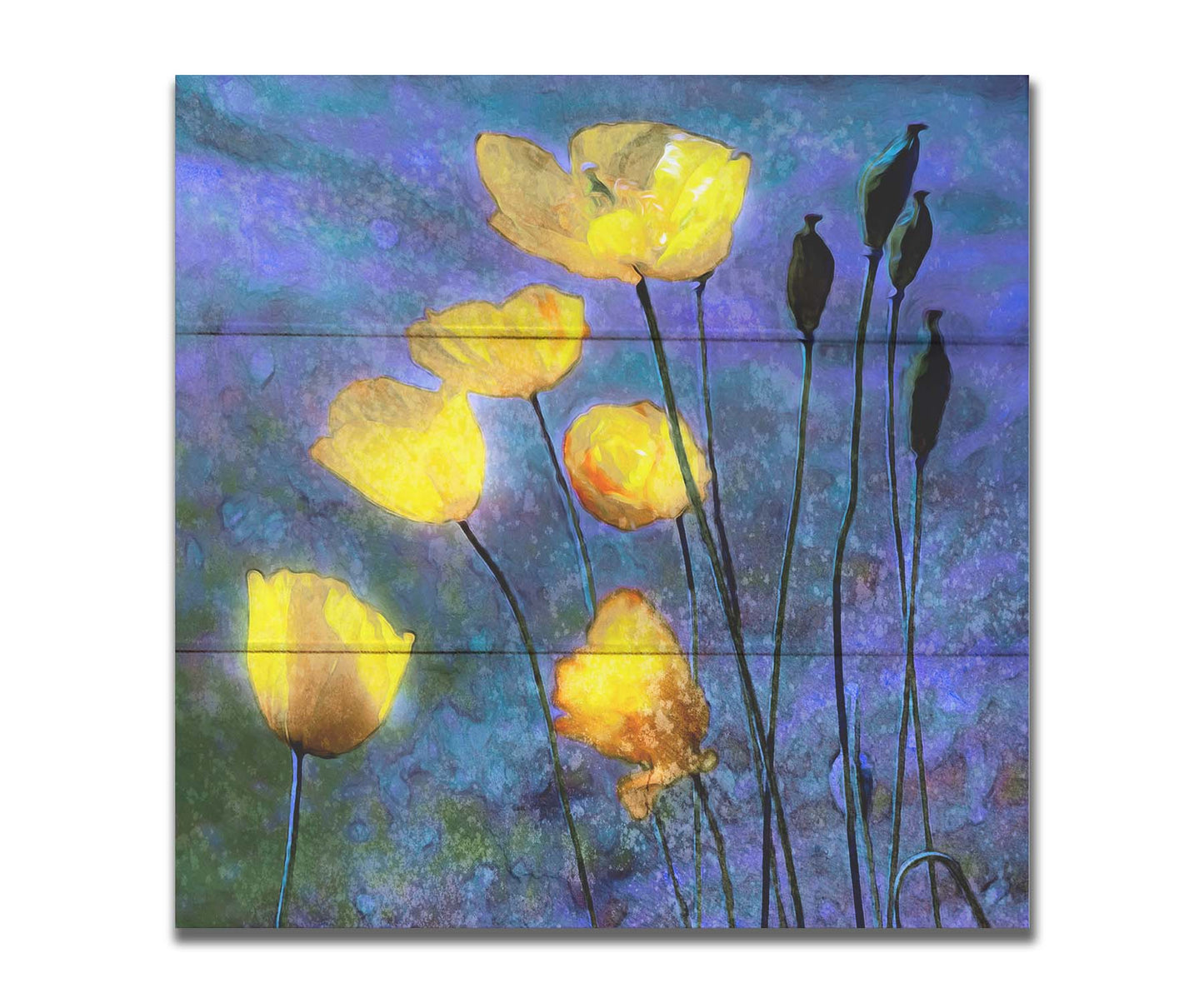 A photo of bright yellow poppies glowing against a blue and purple sky, edited and textured reminiscent of watercolor painting. Printed on a box board.