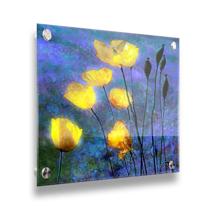 A photo of bright yellow poppies glowing against a blue and purple sky, edited and textured reminiscent of watercolor painting. Printed on acrylic.