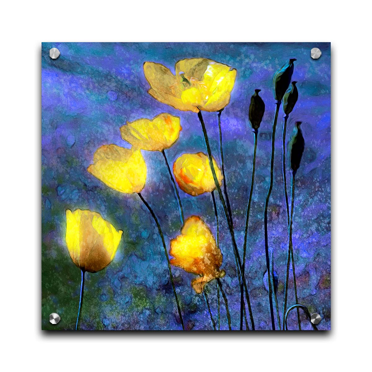 A photo of bright yellow poppies glowing against a blue and purple sky, edited and textured reminiscent of watercolor painting. Printed on acrylic.