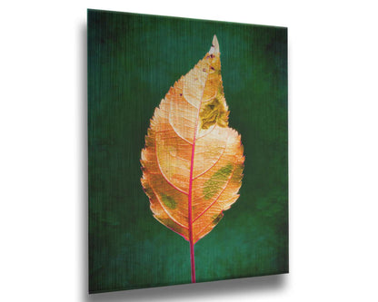 A photo of an orange leaf with a green, brush textured backgrond. Printed on metal.