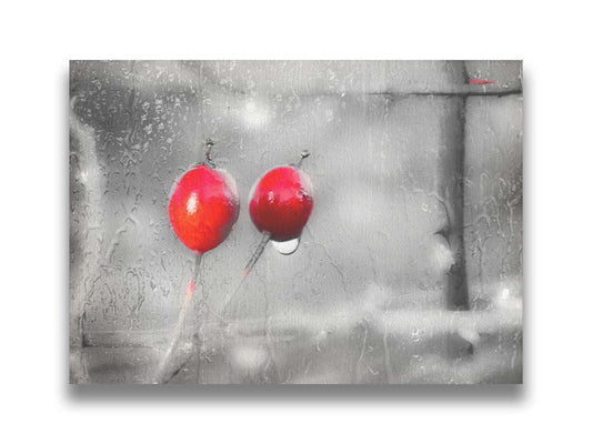 A photo of two red berries, covered in water from the rain, in grayscale with red spot color. It is overlayed with a texture of wet glass. Printed on canvas.