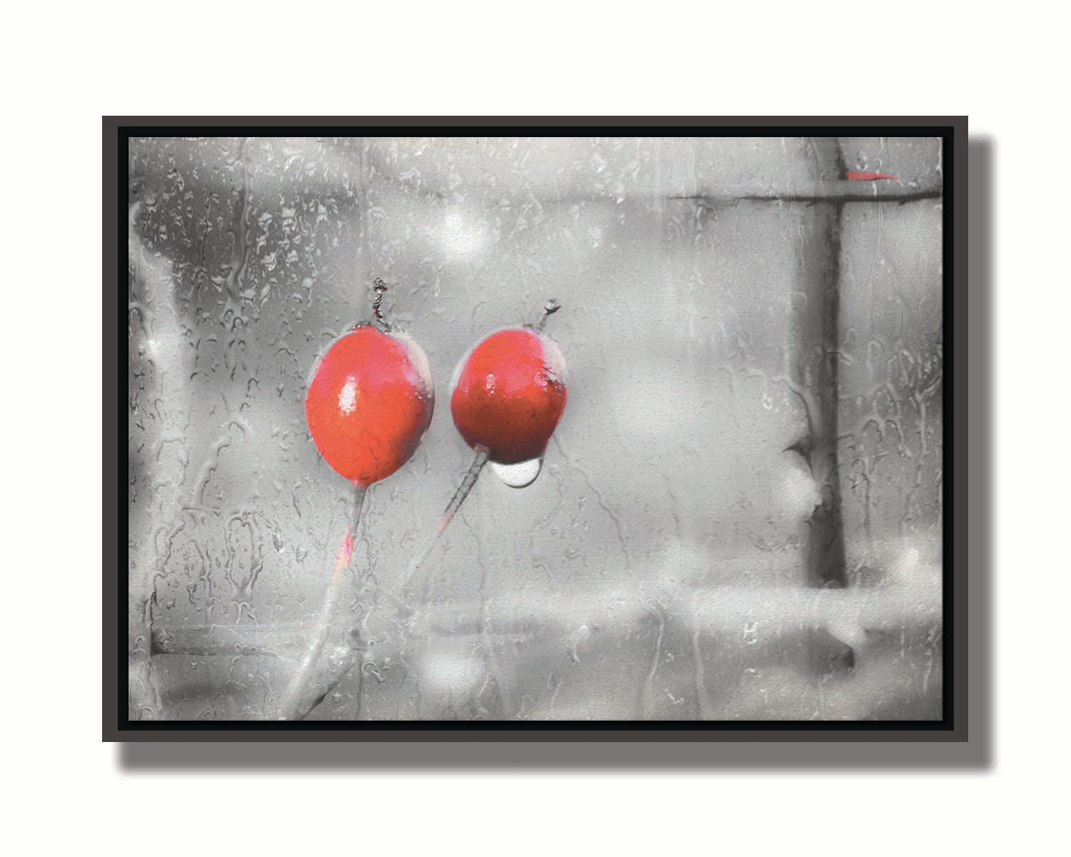 A photo of two red berries, covered in water from the rain, in grayscale with red spot color. It is overlayed with a texture of wet glass. Printed on canvas in a float frame.