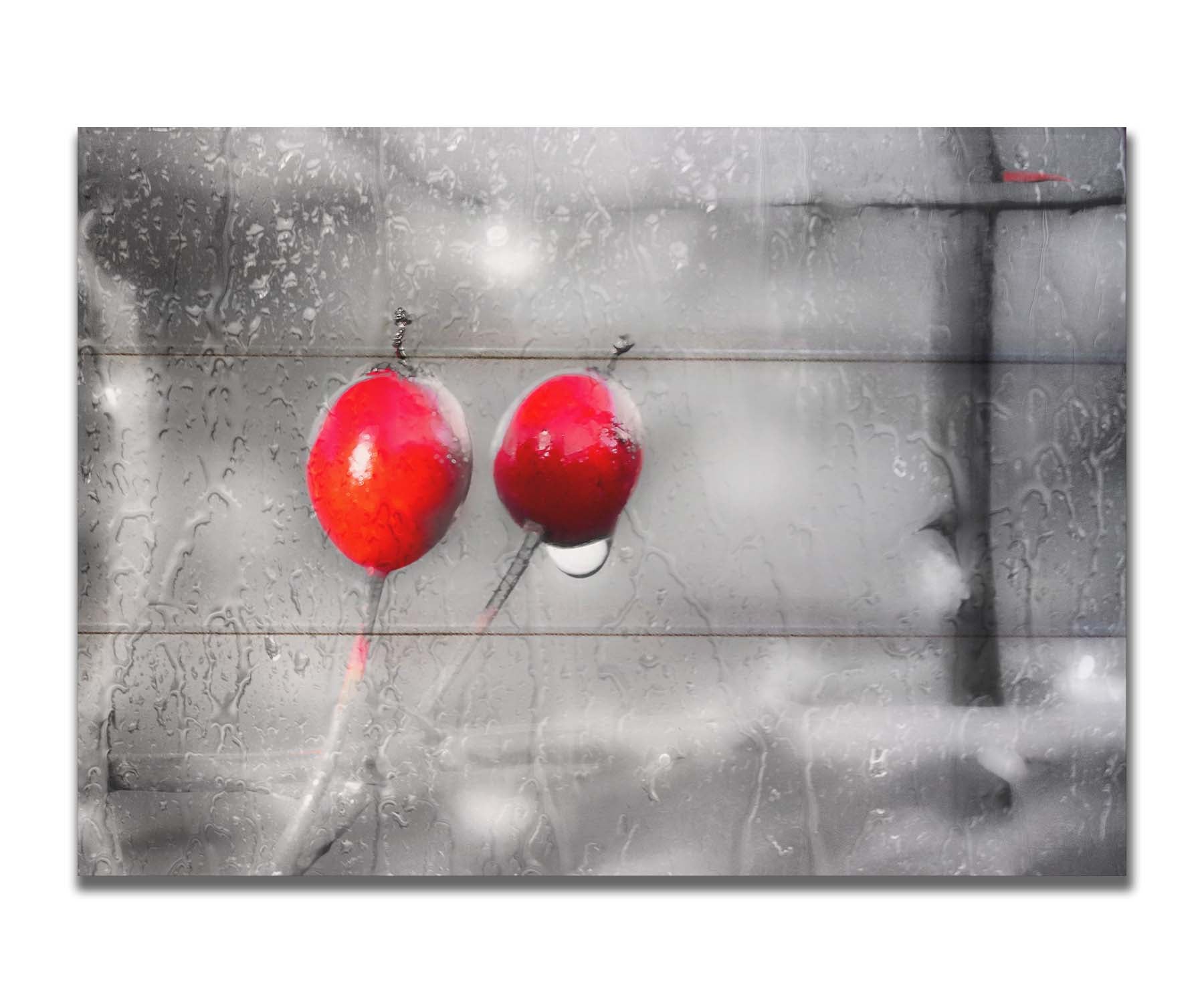 A photo of two red berries, covered in water from the rain, in grayscale with red spot color. It is overlayed with a texture of wet glass. Printed on a box board.