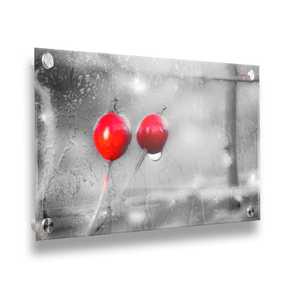 A photo of two red berries, covered in water from the rain, in grayscale with red spot color. It is overlayed with a texture of wet glass. Printed on acrylic.