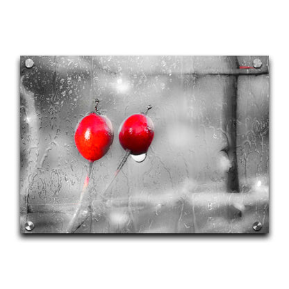 A photo of two red berries, covered in water from the rain, in grayscale with red spot color. It is overlayed with a texture of wet glass. Printed on acrylic.