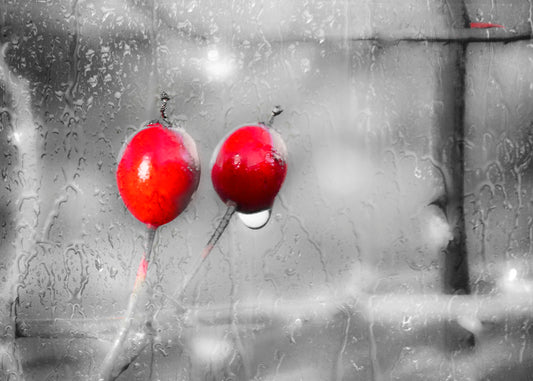 A photo of two red berries, covered in water from the rain, in grayscale with red spot color. It is overlaid with a texture of wet glass. 