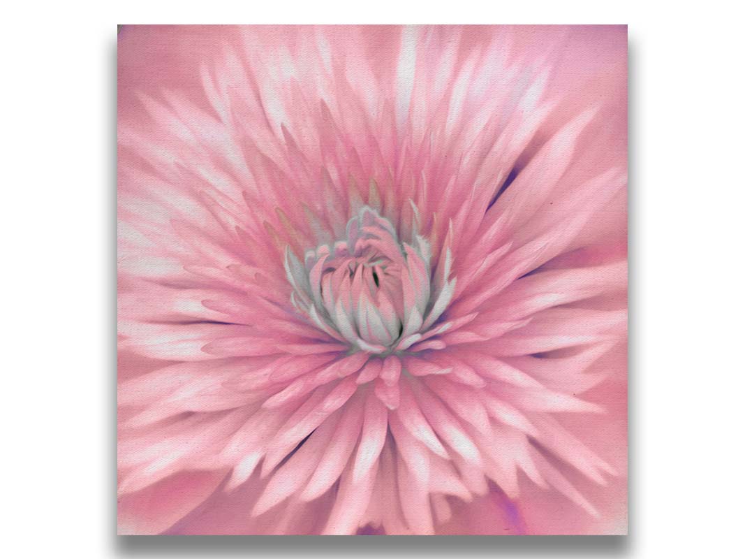 A close-up photo of a clematis flower in pink. Printed on canvas.