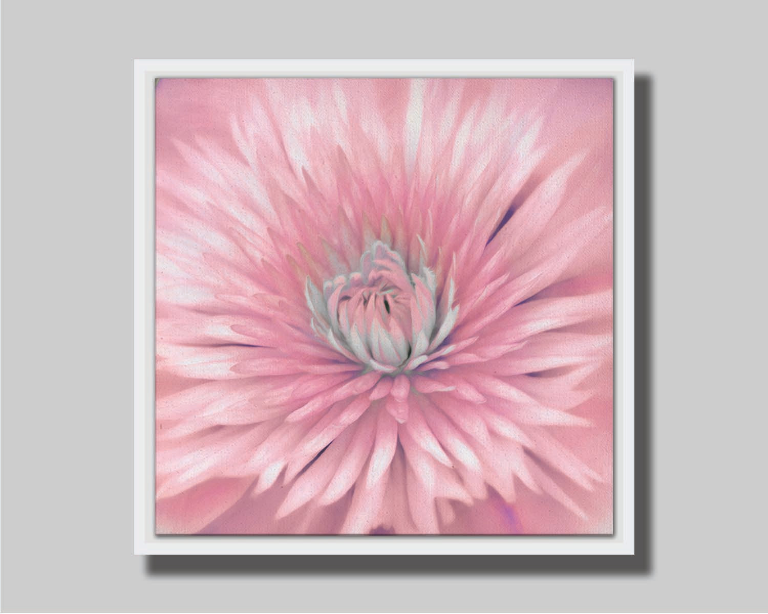 A close-up photo of a clematis flower in pink. Printed on canvas in a float frame.