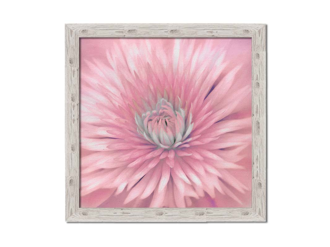 A close-up photo of a clematis flower in pink. Printed on canvas and framed.