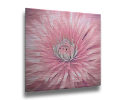 A close-up photo of a clematis flower in pink. Printed on metal.