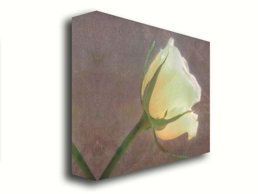 A photo of a yellow rose isolated on a brown background overlayed with a worn, leathery texture. Printed on canvas.