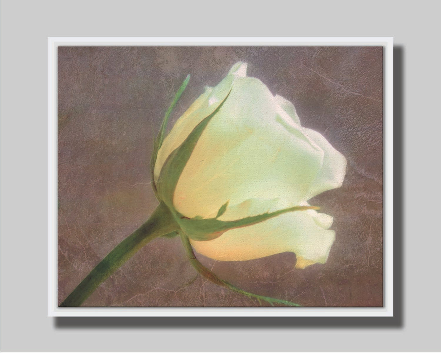 A photo of a yellow rose isolated on a brown background overlayed with a worn, leathery texture. Printed on canvas in a float frame.