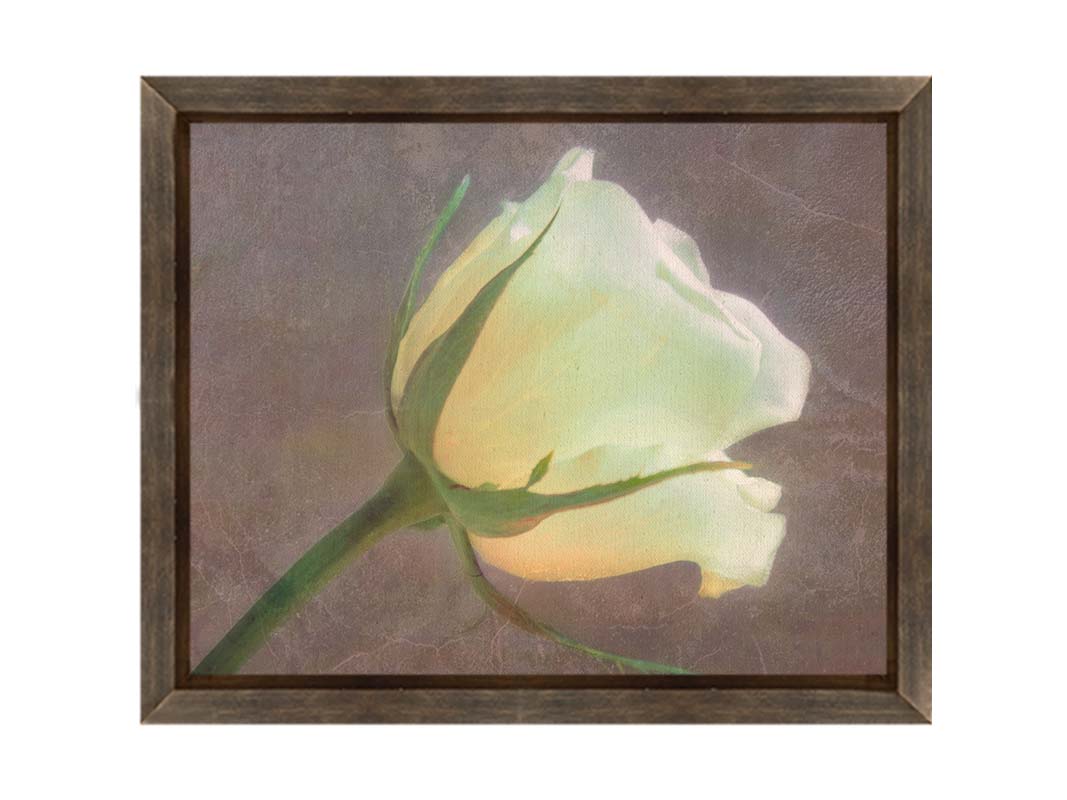 A photo of a yellow rose isolated on a brown background overlayed with a worn, leathery texture. Printed on canvas and framed.