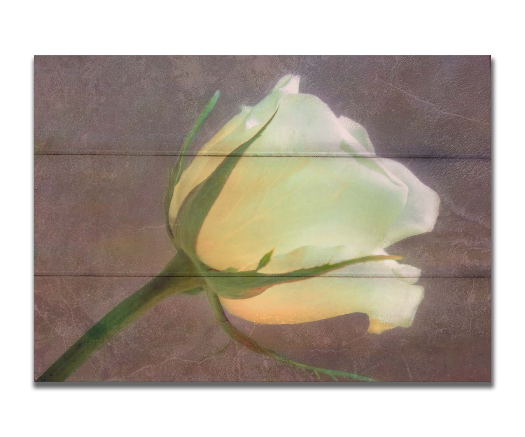 A photo of a yellow rose isolated on a brown background overlayed with a worn, leathery texture. Printed on a box board.