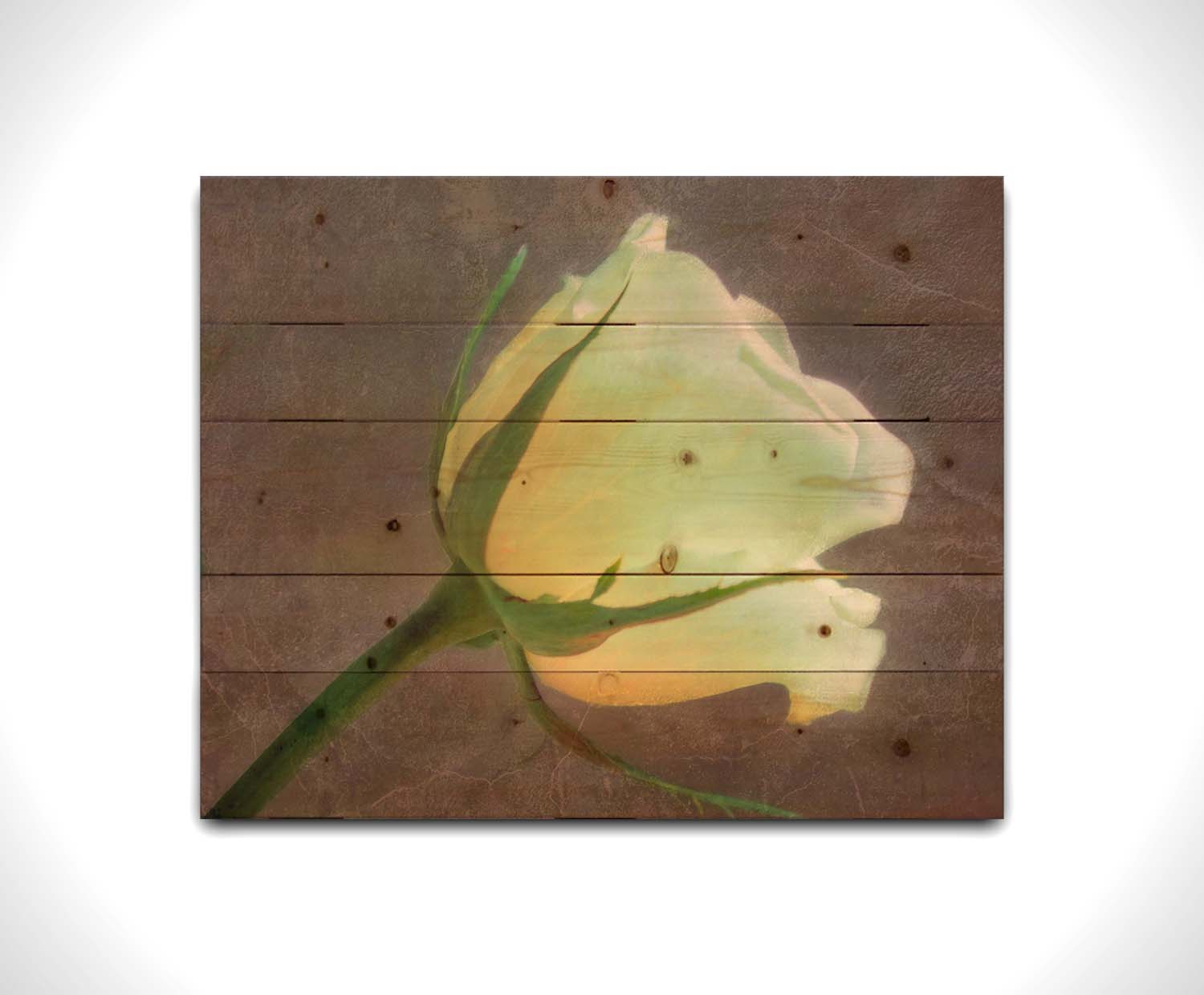 A photo of a yellow rose isolated on a brown background overlayed with a worn, leathery texture. Printed on a wood pallet.