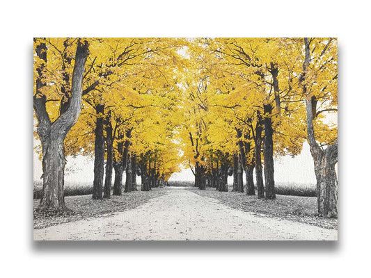 A photo of a road bordered by lines of trees, and surrounded by fields of crops. Edited in black and white, with selectively colored yellow leaves. Printed on canvas.