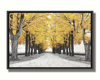 A photo of a road bordered by lines of trees, and surrounded by fields of crops. Edited in black and white, with selectively colored yellow leaves. Printed on canvas in a float frame.