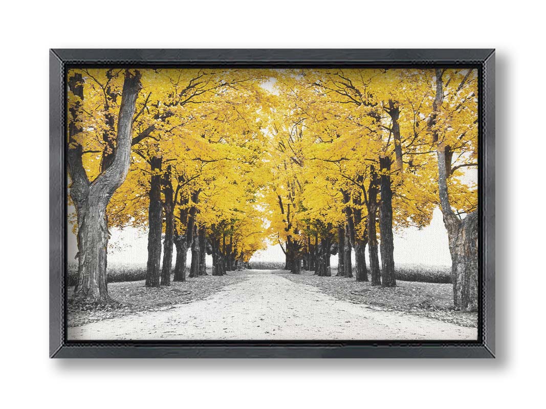 A photo of a road bordered by lines of trees, and surrounded by fields of crops. Edited in black and white, with selectively colored yellow leaves. Printed on canvas and framed.