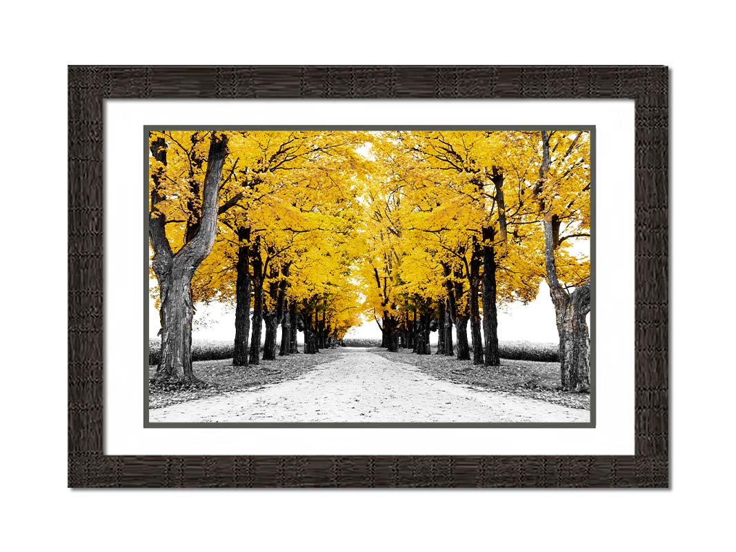 A photo of a road bordered by lines of trees, and surrounded by fields of crops. Edited in black and white, with selectively colored yellow leaves. Printed on paper, matted, and framed.