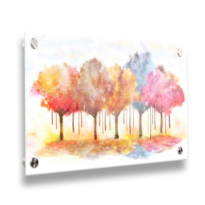 A watercolor-like photo composition depicting a grove of trees in a pink, blue, and orange color pallete. Printed on acrylic.