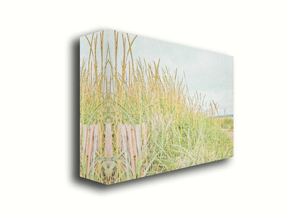 A photograph of tall grasses at the beach, surrounding a short wooden fence. Printed on canvas.