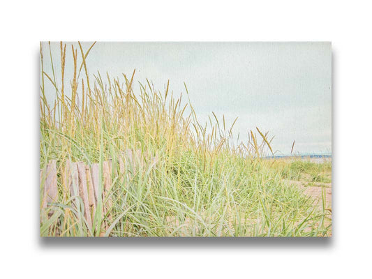 A photograph of tall grasses at the beach, surrounding a short wooden fence. Printed on canvas.