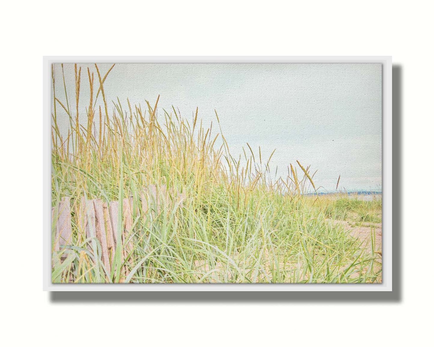 A photograph of tall grasses at the beach, surrounding a short wooden fence. Printed on canvas in a float frame.