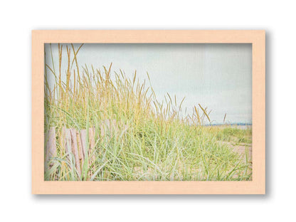 A photograph of tall grasses at the beach, surrounding a short wooden fence. Printed on canvas and framed.