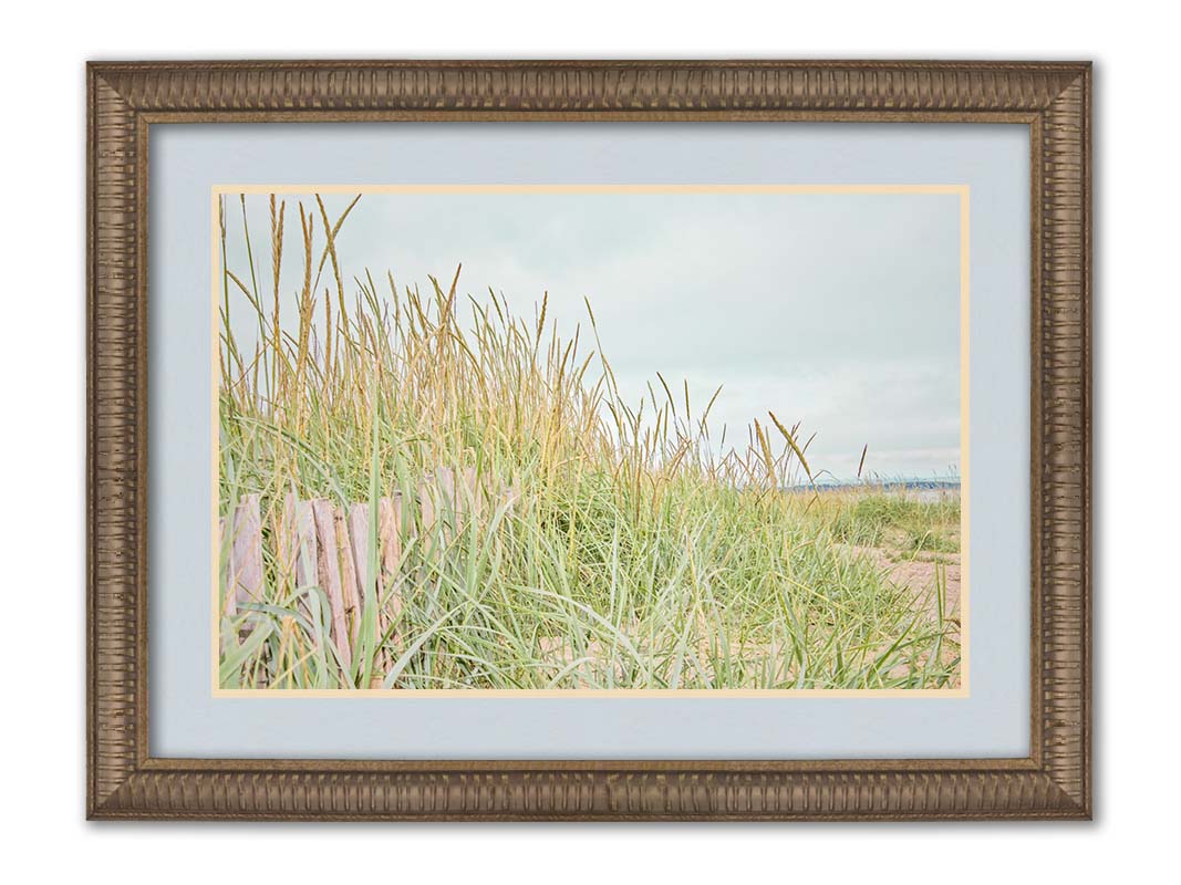 A photograph of tall grasses at the beach, surrounding a short wooden fence. Printed on paper, matted, and framed.