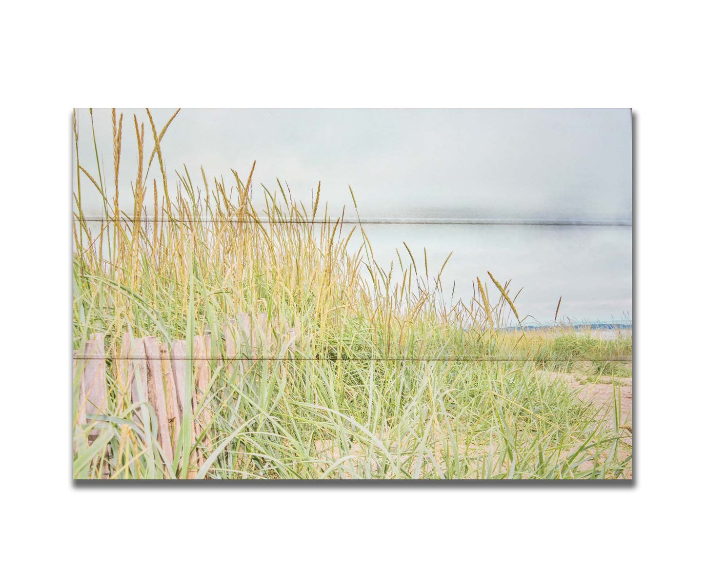 A photograph of tall grasses at the beach, surrounding a short wooden fence. Printed on a box board.