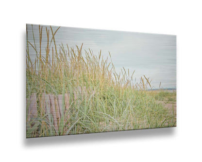 A photograph of tall grasses at the beach, surrounding a short wooden fence. Printed on metal.