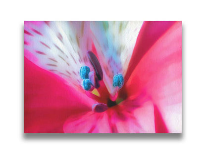 An upclose photo of a pink azalea, edited to have a soft, painterly appearance. Printed on canvas.