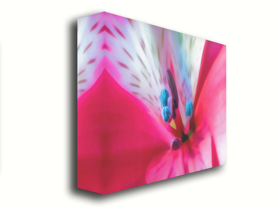 An upclose photo of a pink azalea, edited to have a soft, painterly appearance. Printed on canvas.