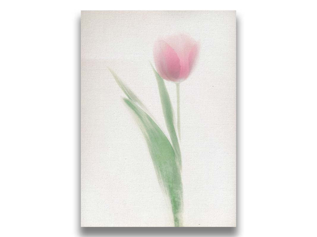 A photo of a single pale, pink tulip lit up by a bright white background. Printed on canvas.