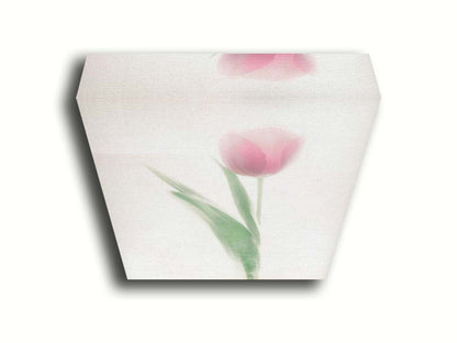 A photo of a single pale, pink tulip lit up by a bright white background. Printed on canvas.