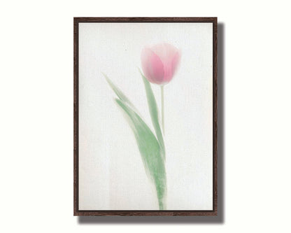 A photo of a single pale, pink tulip lit up by a bright white background. Printed on canvas in a float frame.