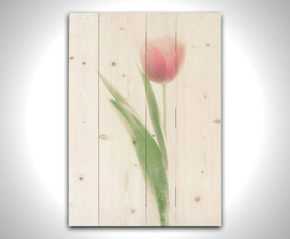 A photo of a single pale, pink tulip lit up by a bright white background. Printed on a wood pallet.