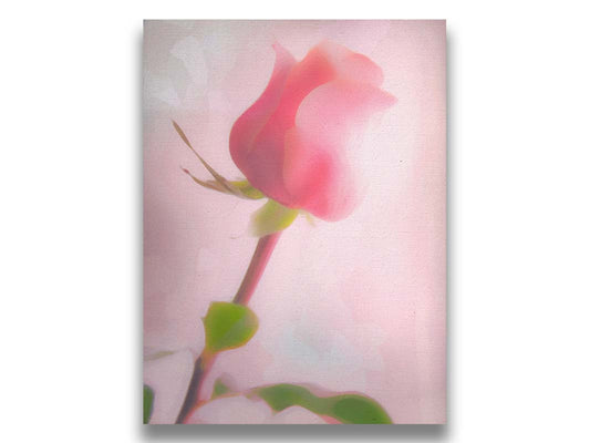 A photo of a pink rose against a light pink background, edited with a painterly effect. Printed on canvas.