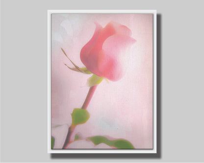 A photo of a pink rose against a light pink background, edited with a painterly effect. Printed on canvas in a float frame.